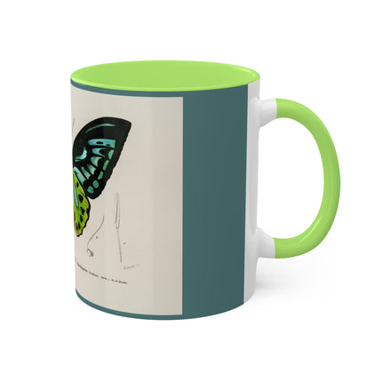 Green Birdwing by Charles Dessalines D' Orbigny Colorful Mugs, 11oz