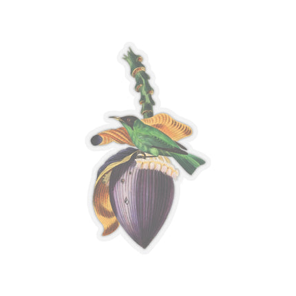 Treecreeper by Paul Gervais Kiss-Cut Stickers (4 Sizes)