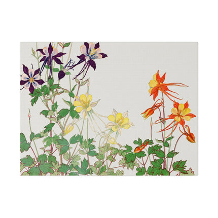 Aquilegia Flower by Tanigami Kônan – Japanese Botanical Art