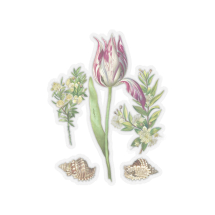 Tulip, two Branches of Myrtle and two Shells by Maria Sibylla Merian Kiss-Cut Stickers (4 Sizes)