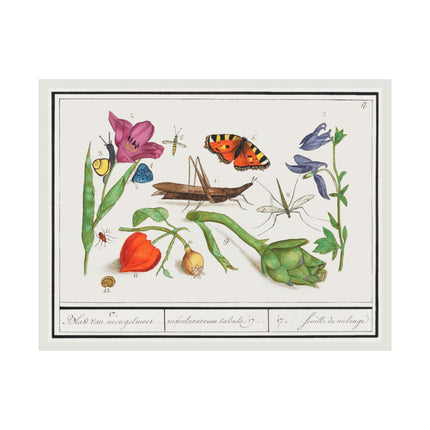 Natural History Ensemble, No. 17 by Anselmus Boëtius de Boodt Matte Horizontal Posters