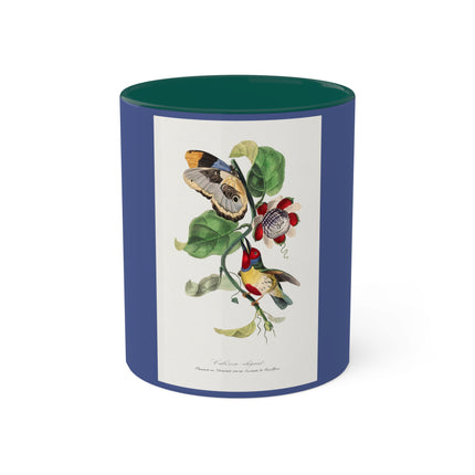 Versicolored Barbet by Paul Gervais Colorful Mugs, 11oz