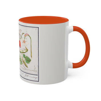 Natural History Ensemble, No. 7 by Anselmus Boëtius de Boodt Colorful Mugs, 11oz