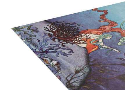 Beautiful Shells by Virginia Frances Sterrett Postcards (envelopes included) - Bundles of 10, 30, 50 Pieces