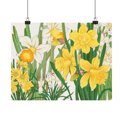 Daffodil by Tanigami Kônan Premium Matte horizontal posters