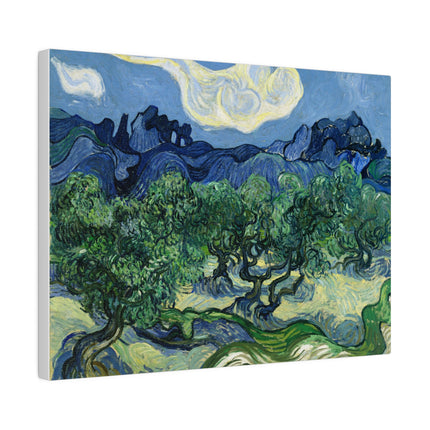 Olive Trees by Vincent Van Gogh Matte Canvas, Stretched, 0.75"