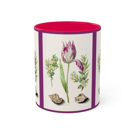 Tulip, Branches of Myrtle and Shells by Maria Sibylla Merian Colorful Mugs, 11oz