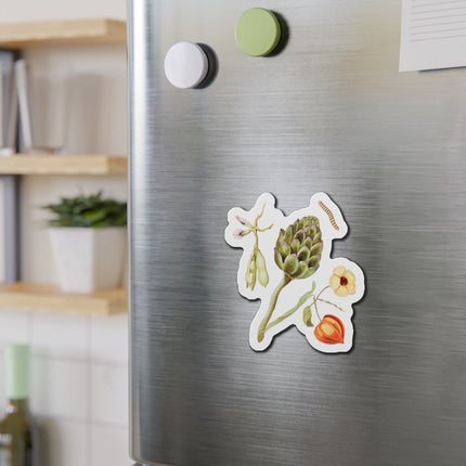Artichoke, Broad Beans, and Lantern Plant by Anselmus Boëtius de Boodt Die-Cut Magnets (5 Sizes)