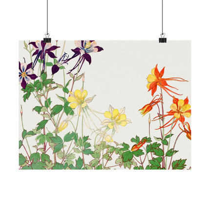 Aquilegia Flower by Tanigami Kônan Premium Matte horizontal posters