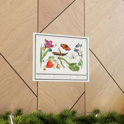 Natural History Ensemble, No. 17 by Anselmus Boëtius de Boodt Matte Horizontal Posters