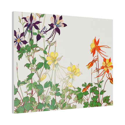 Aquilegia Flower by Tanigami Kônan – Japanese Botanical Art