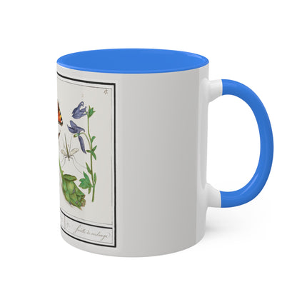 Natural History Ensemble, No. 17 by Anselmus Boëtius de Boodt Colorful Mugs, 11oz