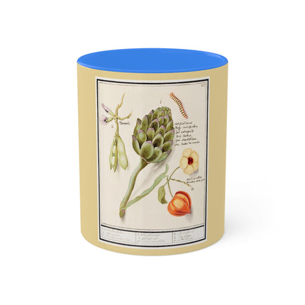 Artichoke, Broad Beans, and Lantern Plant by Anselmus Boëtius de Boodt Colorful Mugs, 11oz