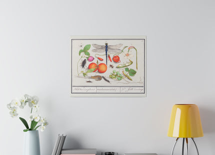 Natural History Ensemble, No. 7 by Anselmus Boëtius de Boodt Matte Matte Canvas, Stretched, 0.75"