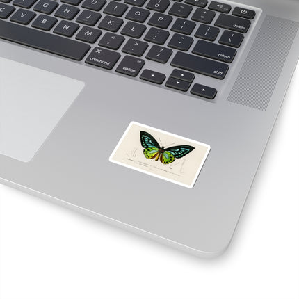 Green Birdwing by Charles Dessalines D' Orbigny Kiss-Cut Stickers (4 Sizes)