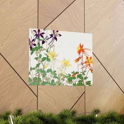 Aquilegia Flower by Tanigami Kônan Premium Matte horizontal posters
