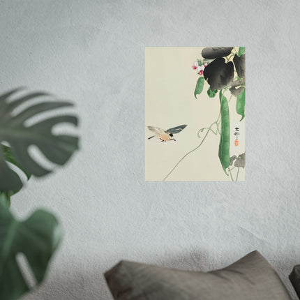 Bird at Flowering Bean Plant by Ohara Koson Fine Art Posters