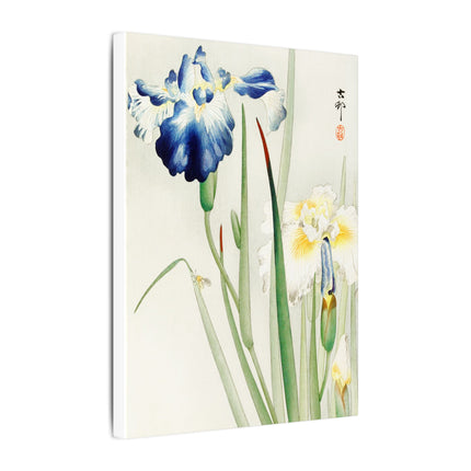Irises in Bloom by Ohara Koson – Japanese Elegance