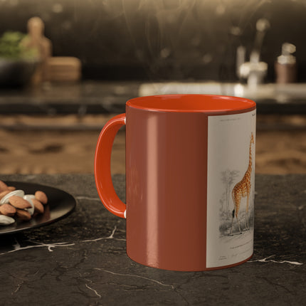 Giraffe by Charles Dessalines D' Orbigny Colorful Mugs, 11oz