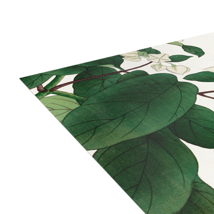 Clerodendrum & Rudbeckia by Tanigami Kônan Postcards (envelopes included) - Bundles of 10, 30, 50 Pieces