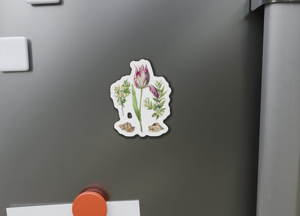 Tulip, Branches of Myrtle, and Shells by Maria Sibylla Merian Die-Cut Magnets (5 Sizes)