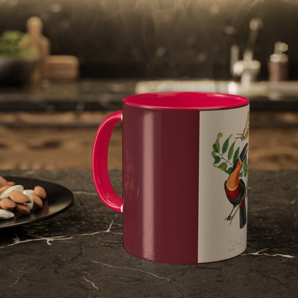 Channel Billed Toucan by Paul Gervais Colorful Mugs, 11oz