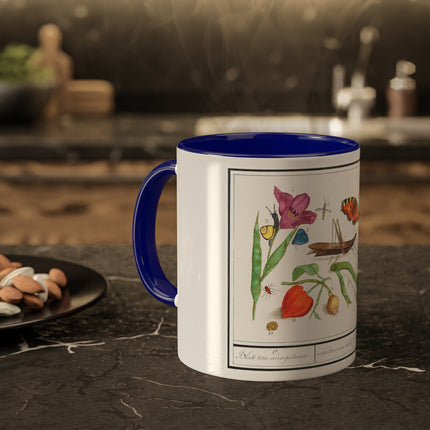 Natural History Ensemble, No. 17 by Anselmus Boëtius de Boodt Colorful Mugs, 11oz