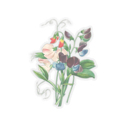 Sweet Pea botanical illustration by Pierre-Joseph Redouté Kiss-Cut Stickers (4 Sizes)