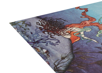 Beautiful Shells by Virginia Frances Sterrett Postcards (envelopes included) - Bundles of 10, 30, 50 Pieces