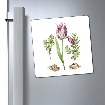 Tulip, Branches of Myrtle, and Shells by Maria Sibylla Merian Magnets (3 Sizes)