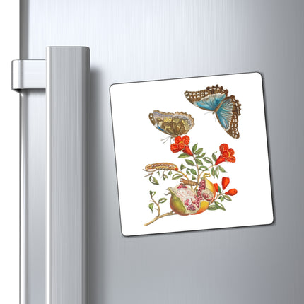 Blue Butterflies and Pomegranate by Maria Sibylla Merian Magnets (3 Sizes)