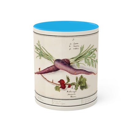 Carrot, Daucus Carota and Red currant, Ribes rubrum by Anselmus Boëtius de Boodt Colorful Mugs, 11oz