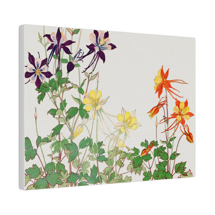 Aquilegia Flower by Tanigami Kônan – Japanese Botanical Art