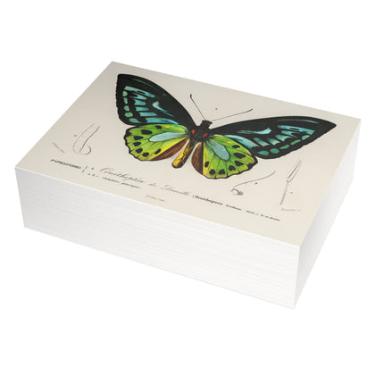 Green Birdwing by Charles Dessalines D' Orbigny Postcards (envelopes included) - Bundles of 10, 30, 50 Pieces
