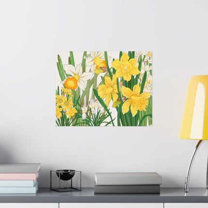 Daffodil by Tanigami Kônan Premium Matte horizontal posters