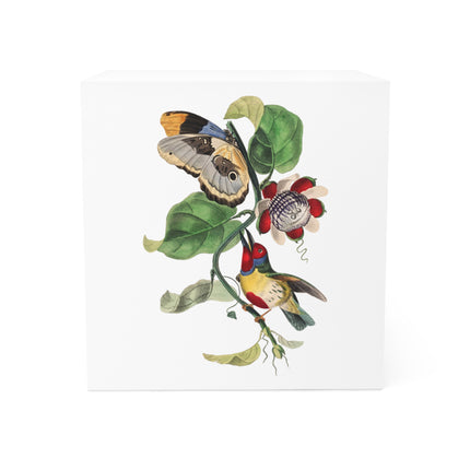 Versicolored Barbet by Paul Gervais Note Cube