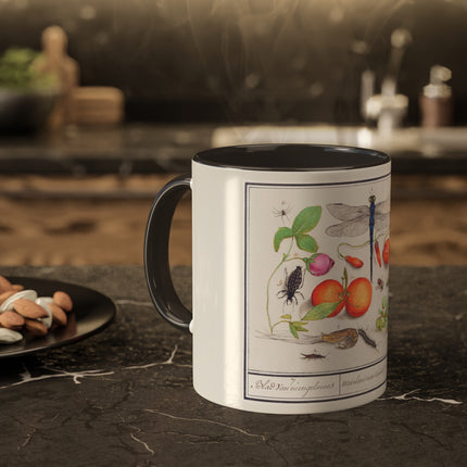 Natural History Ensemble, No. 7 by Anselmus Boëtius de Boodt Colorful Mugs, 11oz