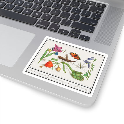 Natural History Ensemble, No. 17 by Anselmus Boëtius de Boodt Kiss-Cut Stickers (4 Sizes)