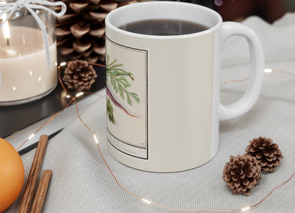 Carrot, Daucus carota and red currant, Ribes rubrum by Anselmus Boëtius de Boodt Ceramic Mug 11oz