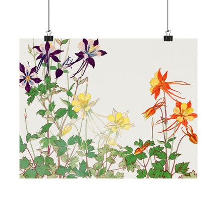 Aquilegia Flower by Tanigami Kônan Premium Matte horizontal posters