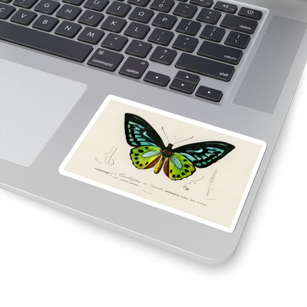 Green Birdwing by Charles Dessalines D' Orbigny Kiss-Cut Stickers (4 Sizes)