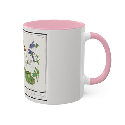 Natural History Ensemble, No. 17 by Anselmus Boëtius de Boodt Colorful Mugs, 11oz