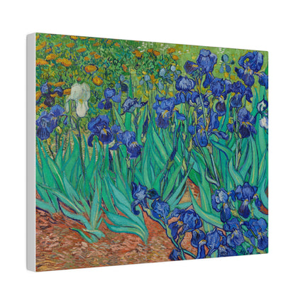 Irises by Vincent Van Gogh Matte Canvas, Stretched, 0.75"