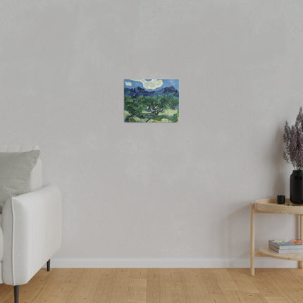 Olive Trees by Vincent Van Gogh Matte Canvas, Stretched, 0.75"