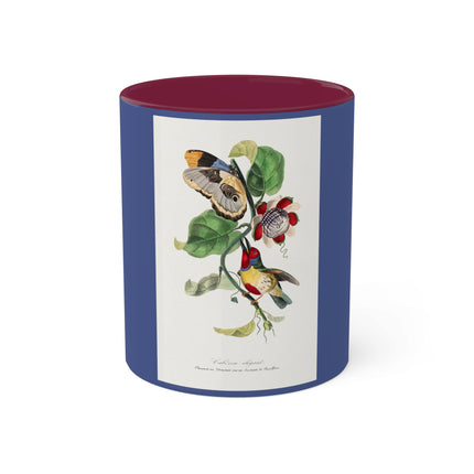 Versicolored Barbet by Paul Gervais Colorful Mugs, 11oz