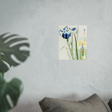 Irises by Ohara Koson Fine Art Posters