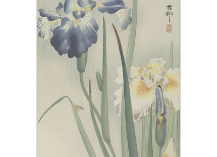 Irises by Ohara Koson Matte Canvas, Stretched, 0.75"