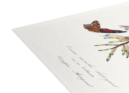 Hummingbird by Paul Gervais Postcards (envelopes included) - Bundles of 10, 30, 50 Pieces