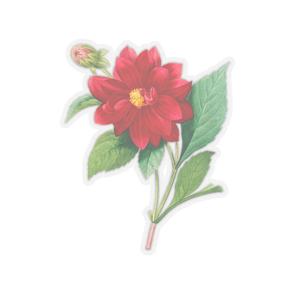 Dahlia botanical illustration by Pierre-Joseph Redouté Kiss-Cut Stickers (4 Sizes)