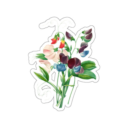 Sweet Pea botanical illustration by Pierre-Joseph Redouté Kiss-Cut Stickers (4 Sizes)